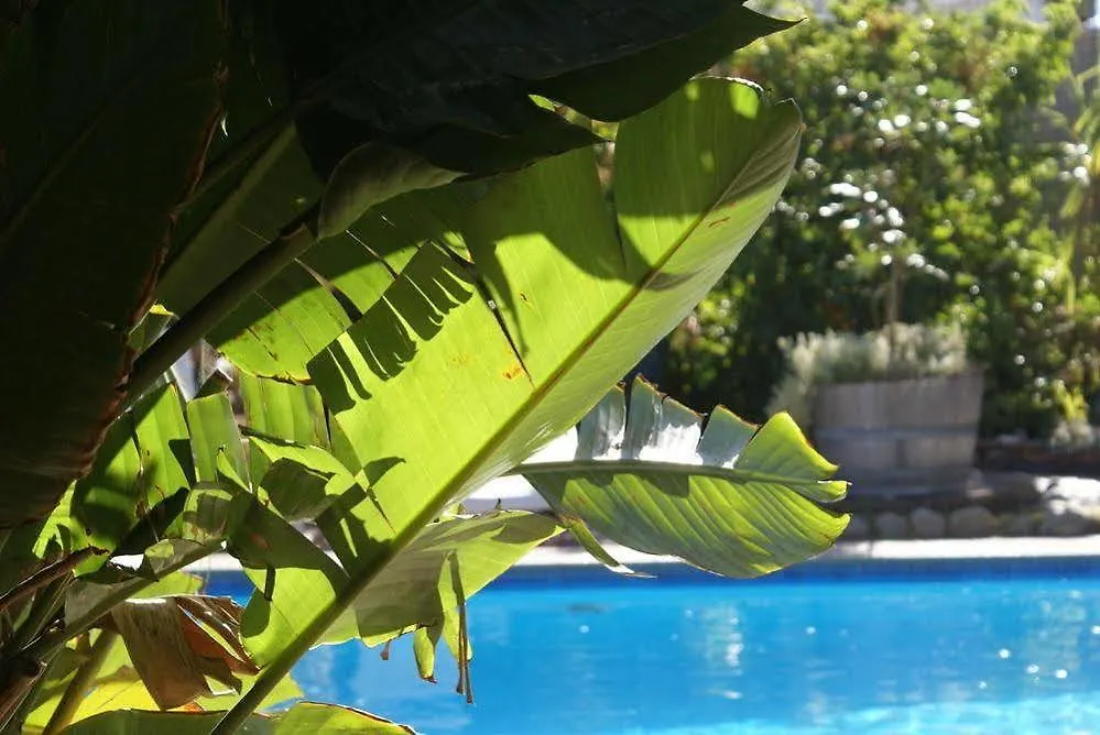 Hotel Carlone نيس فرنسا